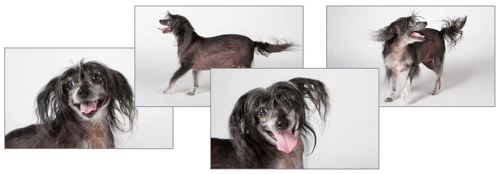 Sets of Digital Images