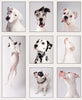 Deaf Dogs photobook - Signed by author