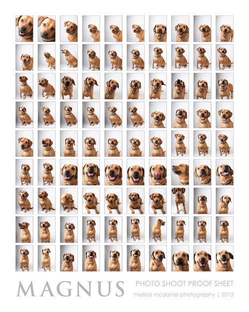 Photo Shoot Proof Sheet - 16x20