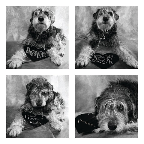 JOY, PEACE, LOVE & TREATS - George (4-Image Collage Print)