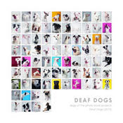 Deaf Dog Collage Print, square - 8"x8" (color)